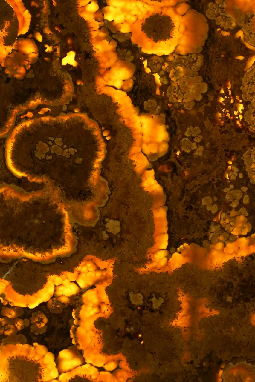 WhatsApp Image 2025-07-12 at 8.45.46 PM