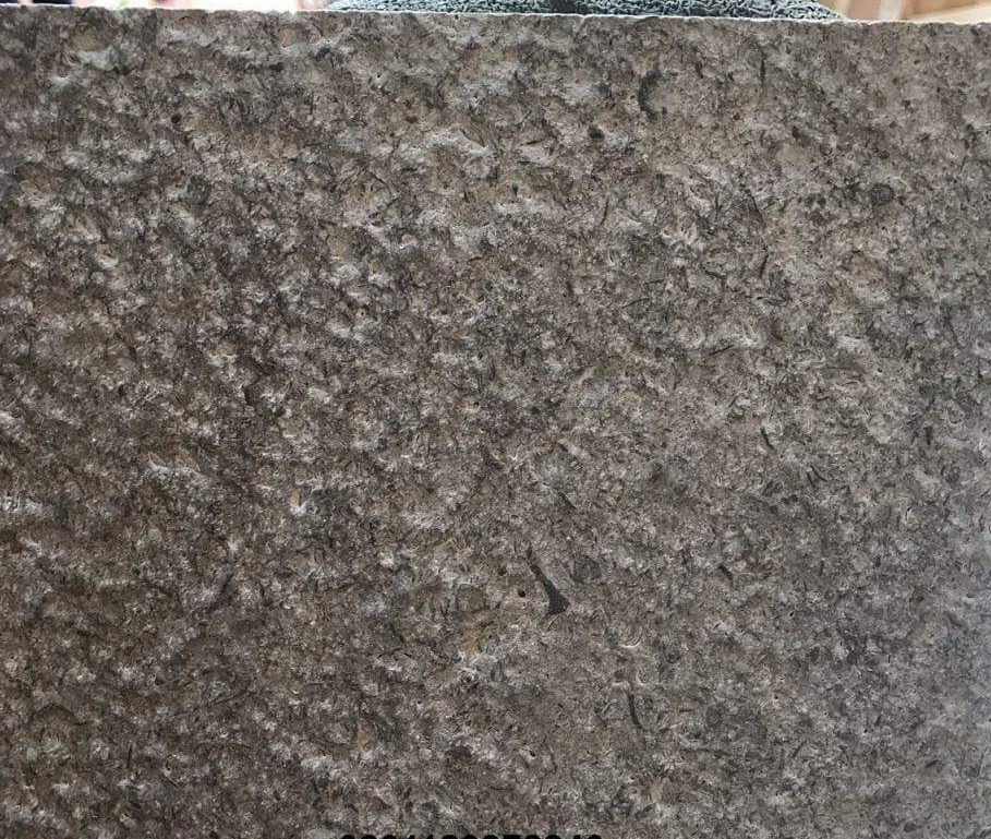 WhatsApp Image 2025-07-14 at 8.37.21 PM