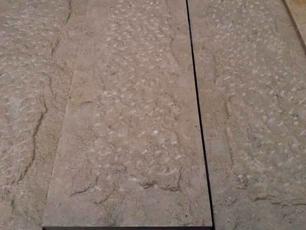 WhatsApp Image 2025-07-14 at 8.37.22 PM