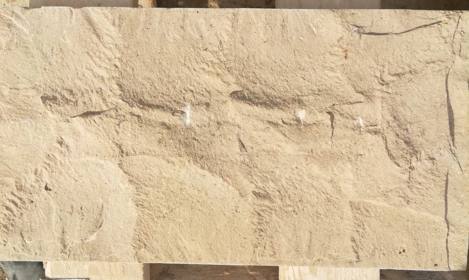 WhatsApp Image 2025-07-14 at 8.37.23 PM (3)