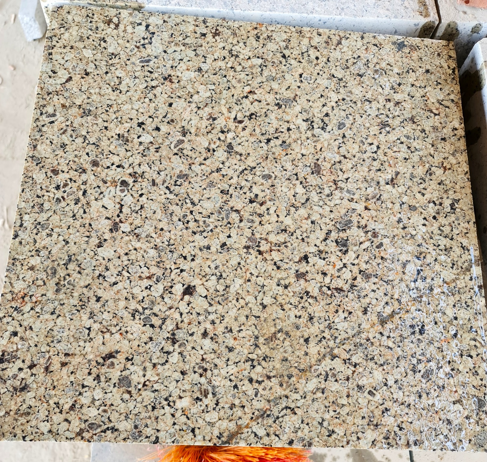 9767850c-c0ec-4559-b671-d9a28a364c48