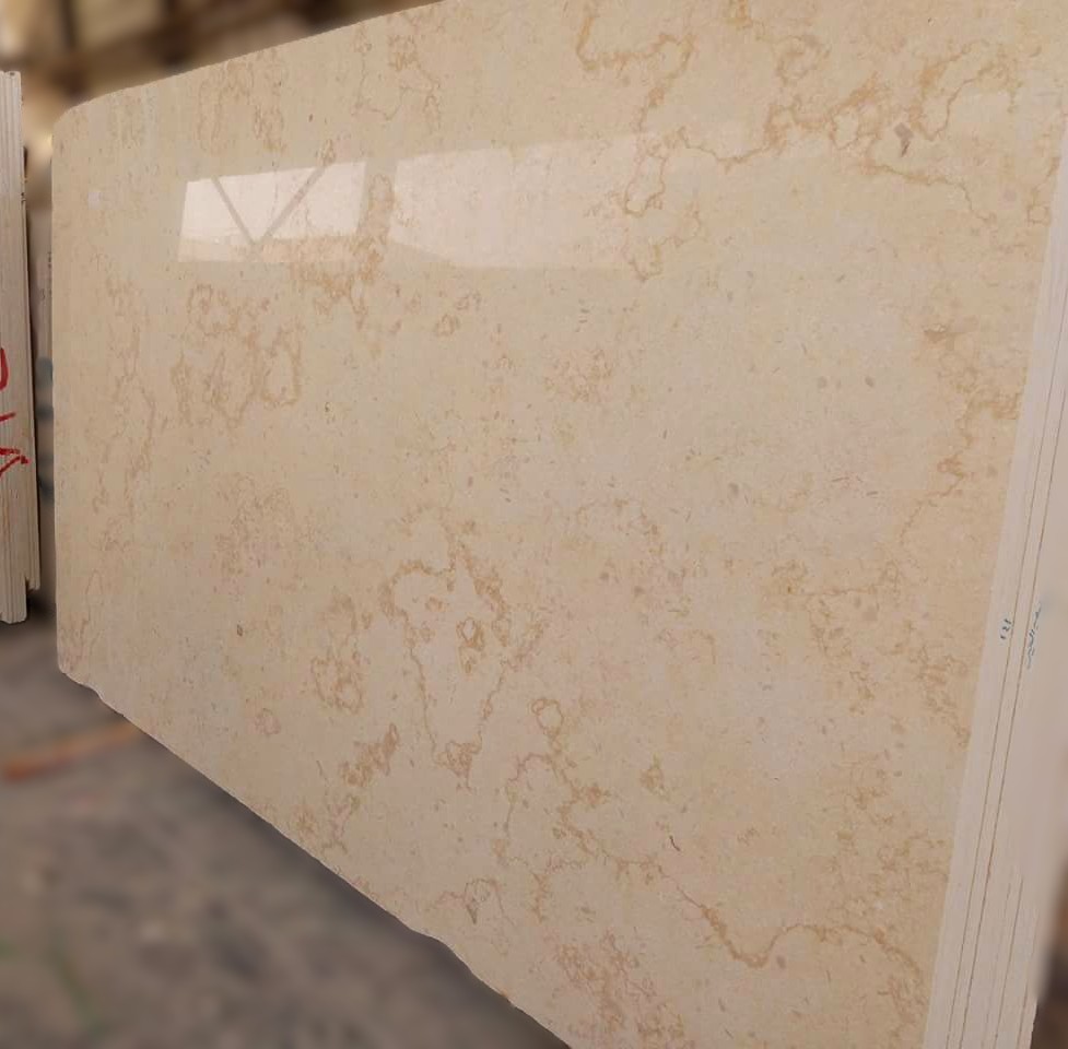 WhatsApp Image 2026-03-13 at 7.25.15 PM