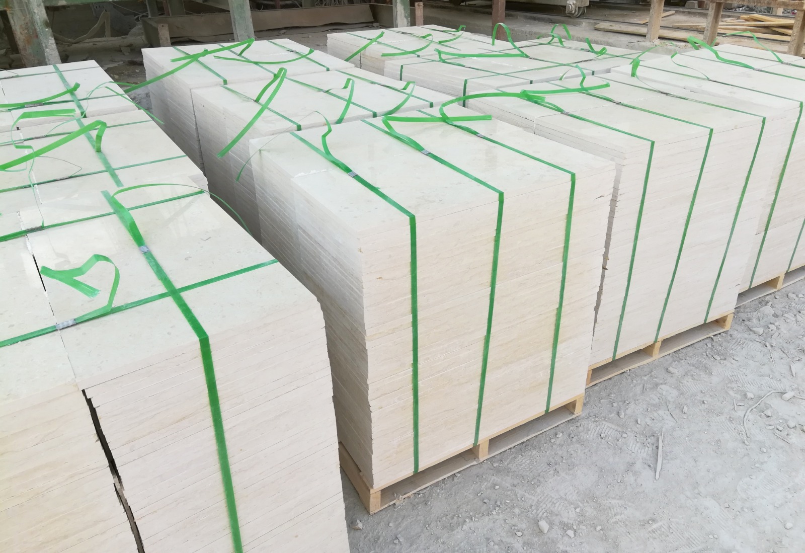 WhatsApp Image 2026-03-13 at 7.25.18 PM (1)