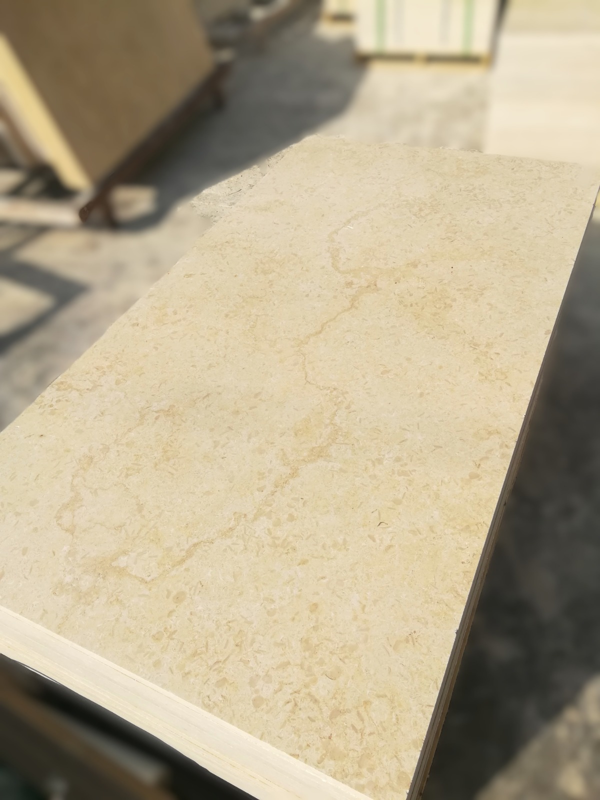 WhatsApp Image 2026-03-13 at 7.25.18 PM