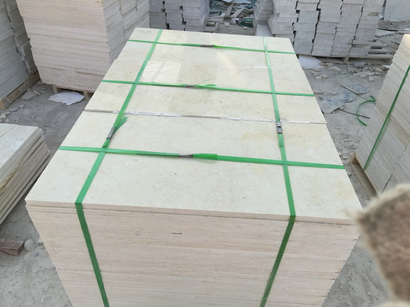 WhatsApp Image 2026-03-13 at 7.25.19 PM