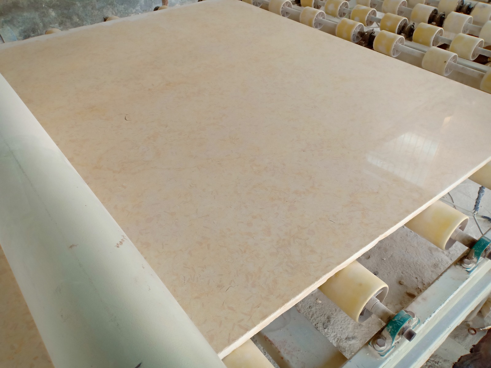 WhatsApp Image 2026-03-13 at 7.25.21 PM (1)