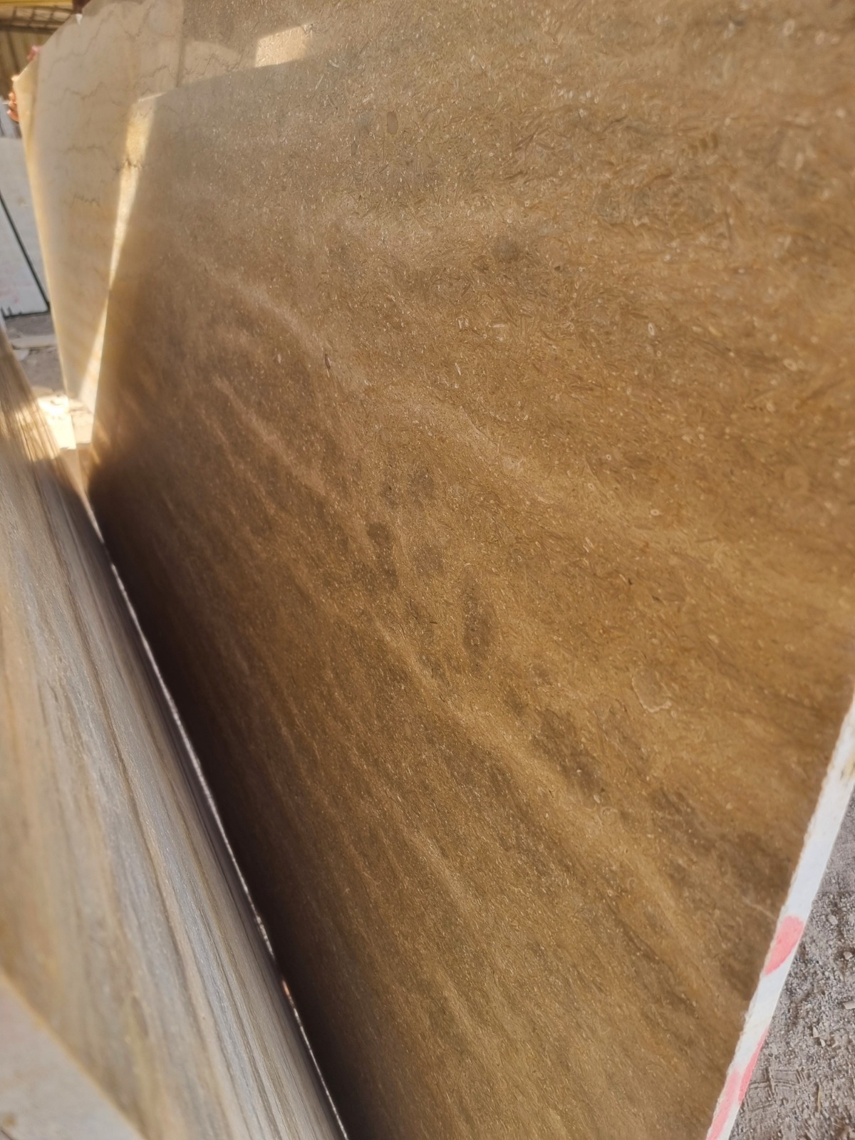 WhatsApp Image 2026-03-13 at 7.26.13 PM