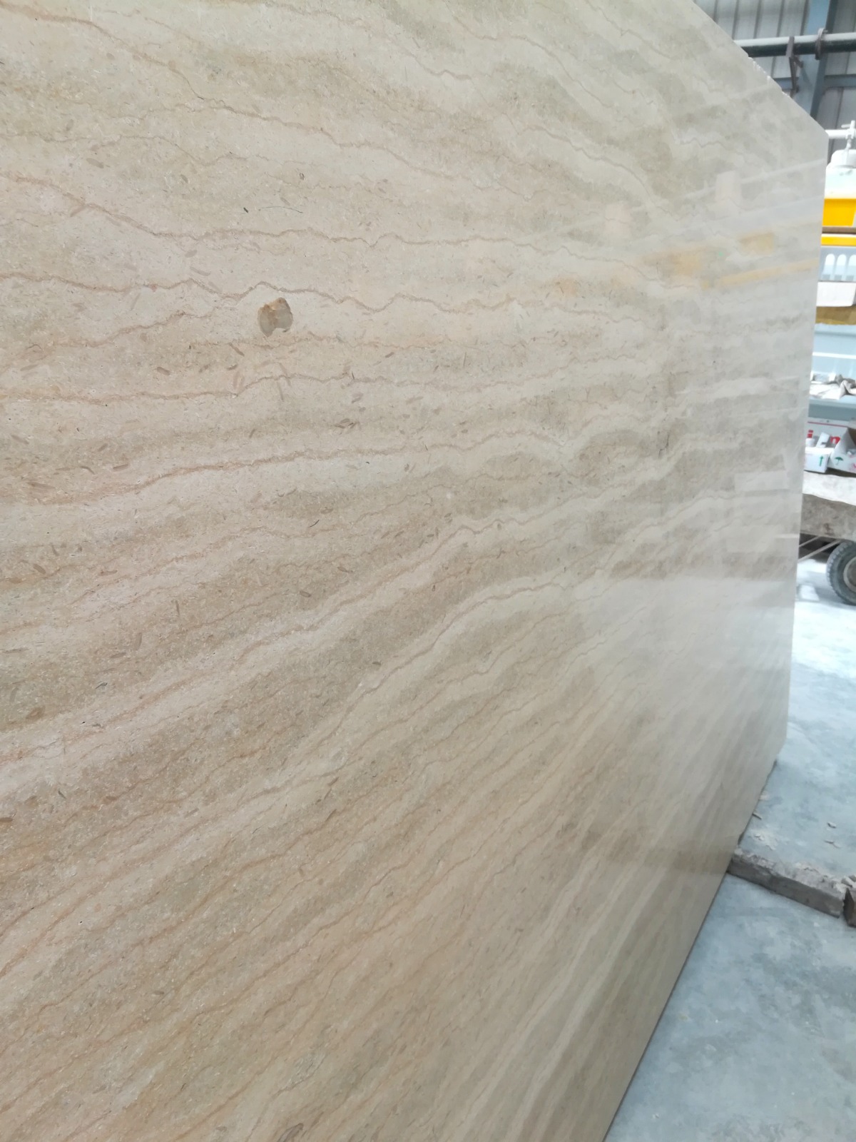 WhatsApp Image 2026-03-13 at 7.26.16 PM (1)