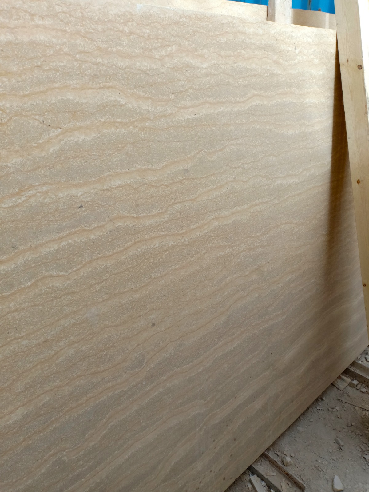 WhatsApp Image 2026-03-13 at 7.26.18 PM (1)