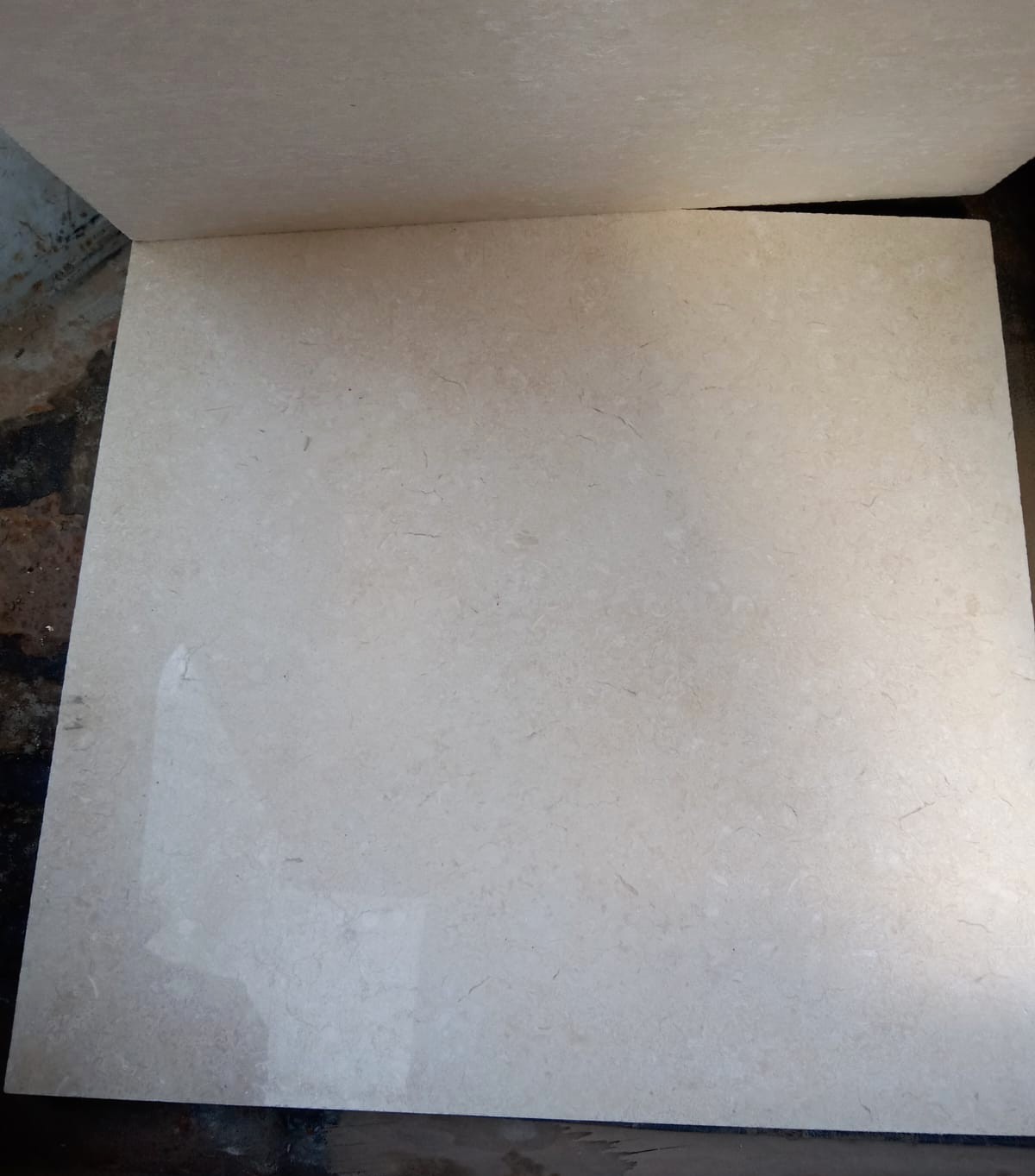 WhatsApp Image 2026-03-13 at 7.26.42 PM (1)