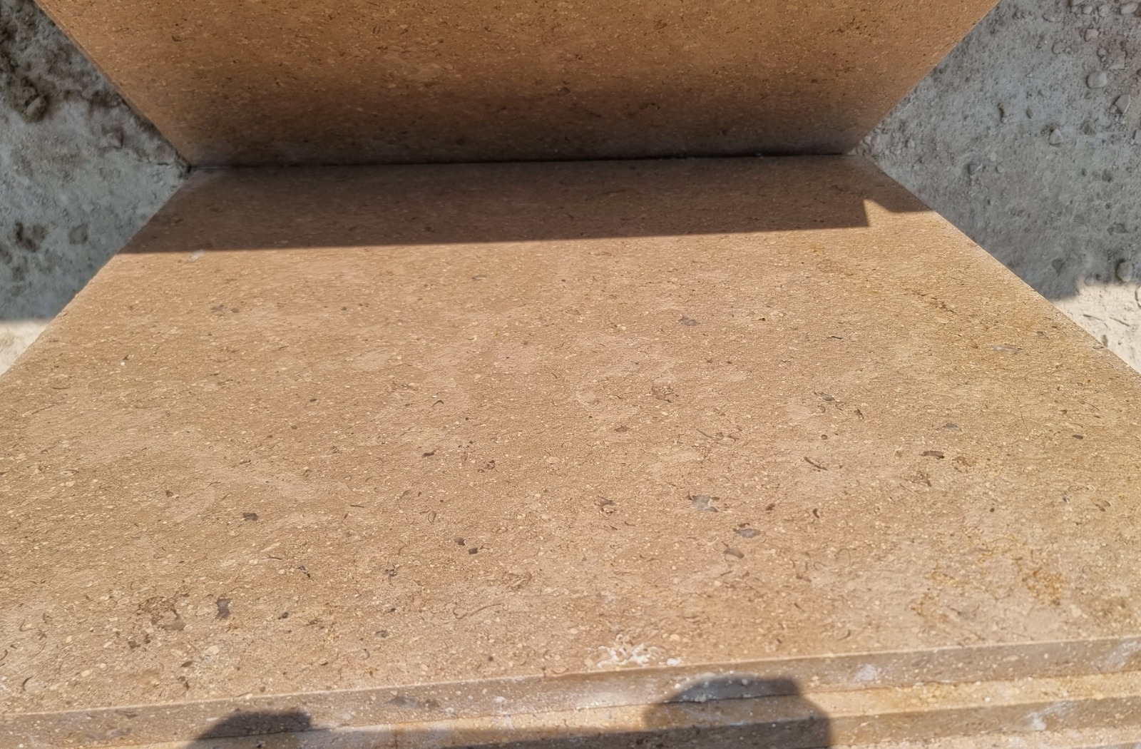 WhatsApp Image 2026-03-13 at 7.27.53 PM (1)