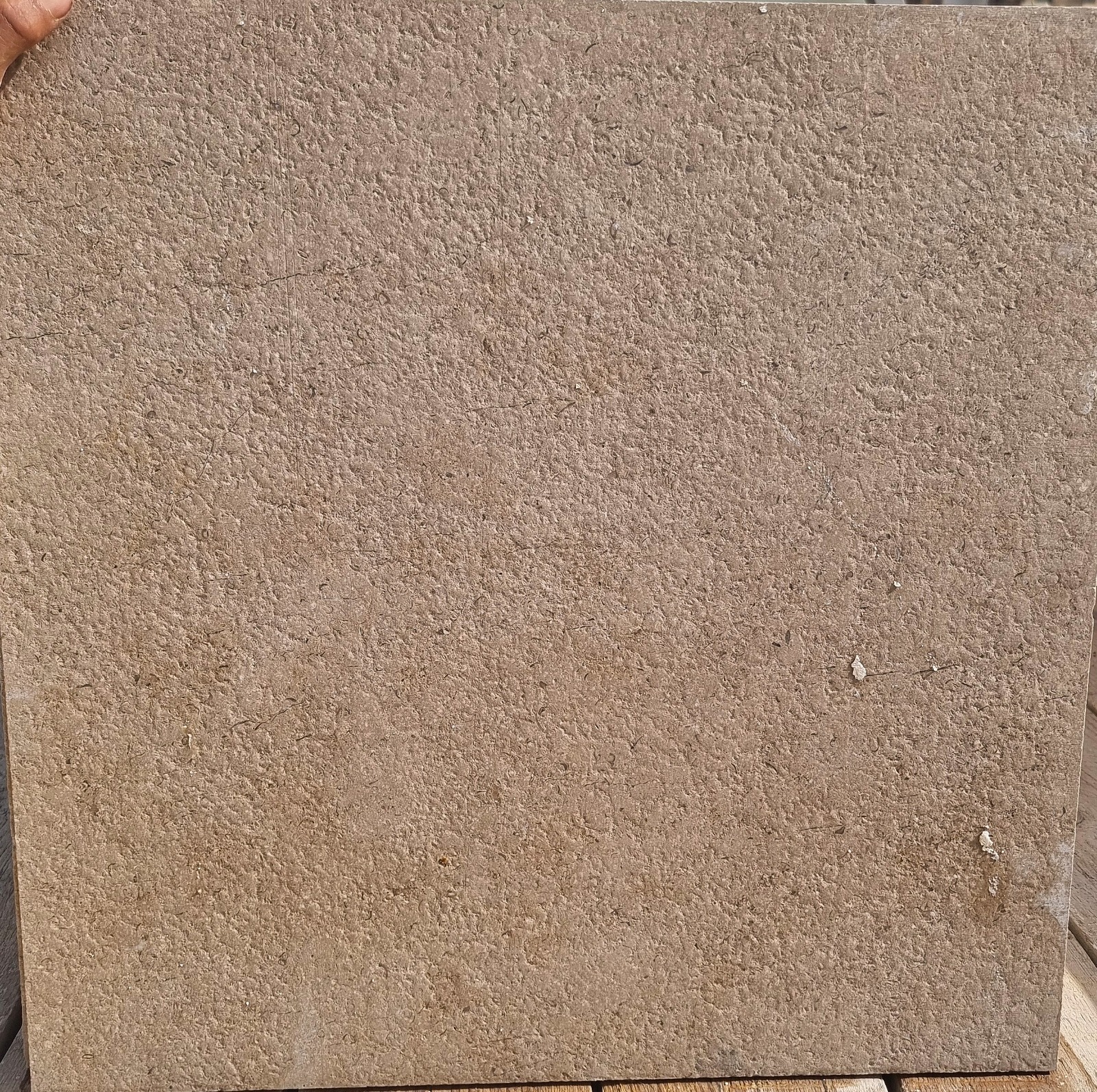 WhatsApp Image 2026-03-13 at 7.27.53 PM