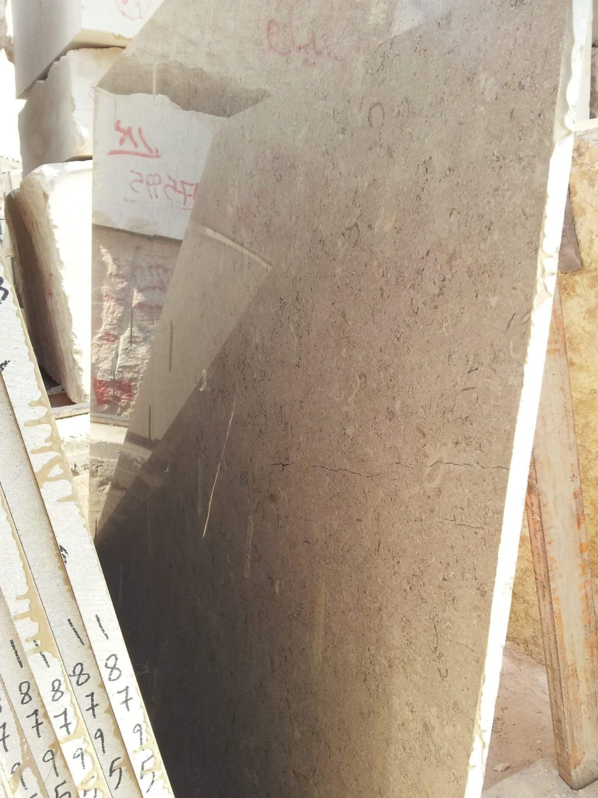 WhatsApp Image 2026-03-13 at 7.27.54 PM (2)