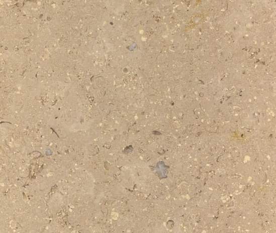 WhatsApp Image 2026-03-13 at 7.27.54 PM