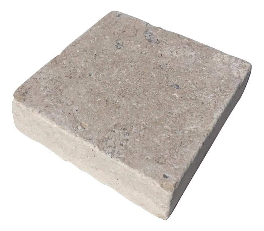 WhatsApp Image 2026-03-13 at 7.27.55 PM (1)