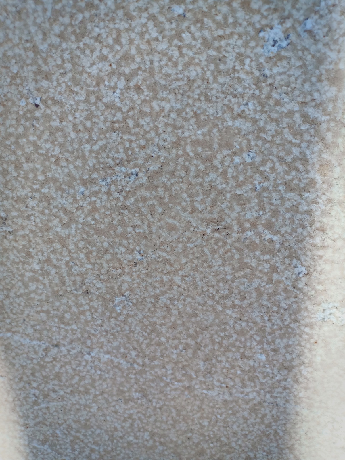 WhatsApp Image 2026-03-13 at 7.27.56 PM (2)