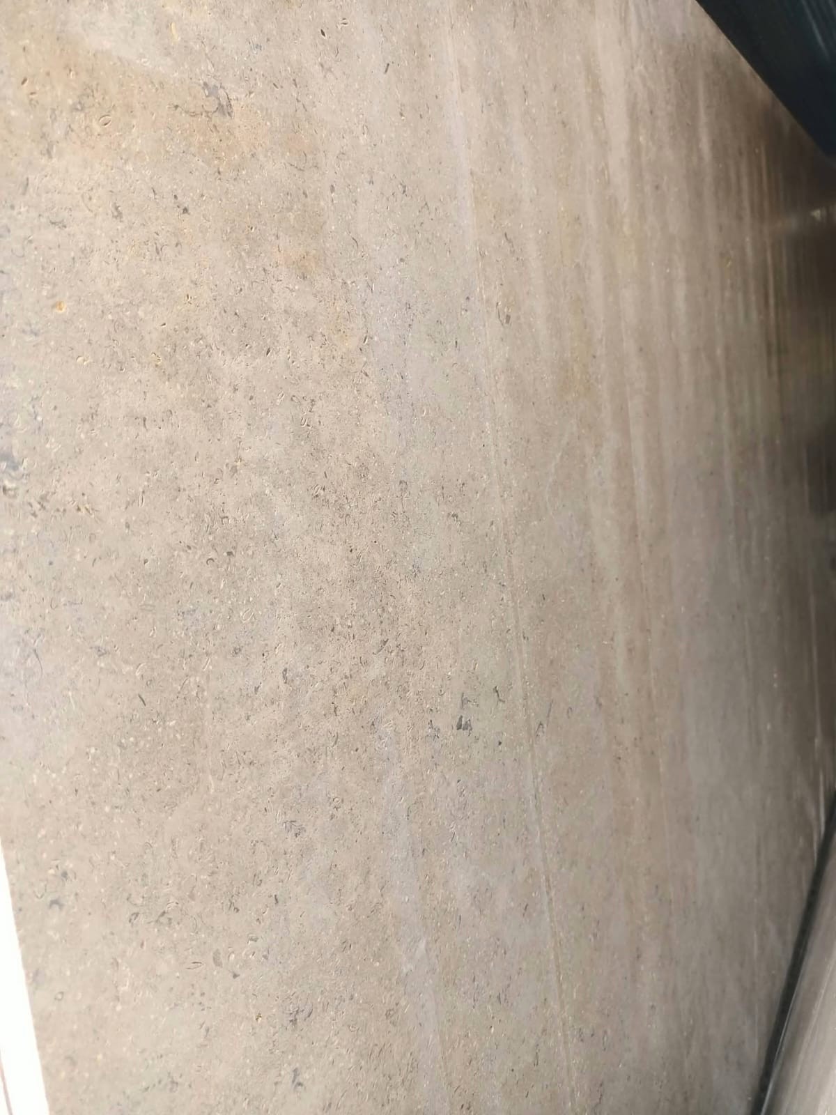 WhatsApp Image 2026-03-13 at 7.27.57 PM (1)