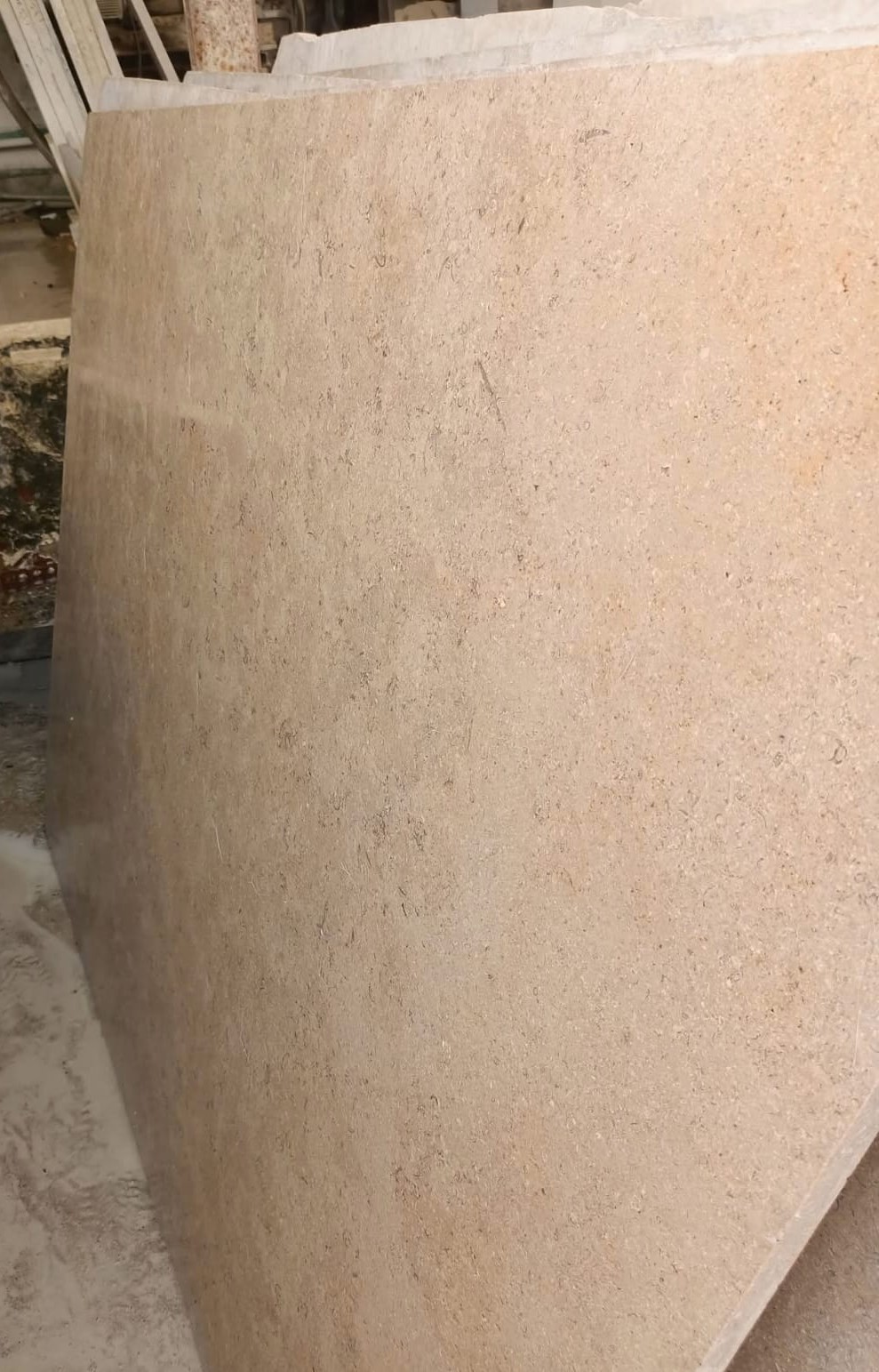 WhatsApp Image 2026-03-13 at 7.27.58 PM