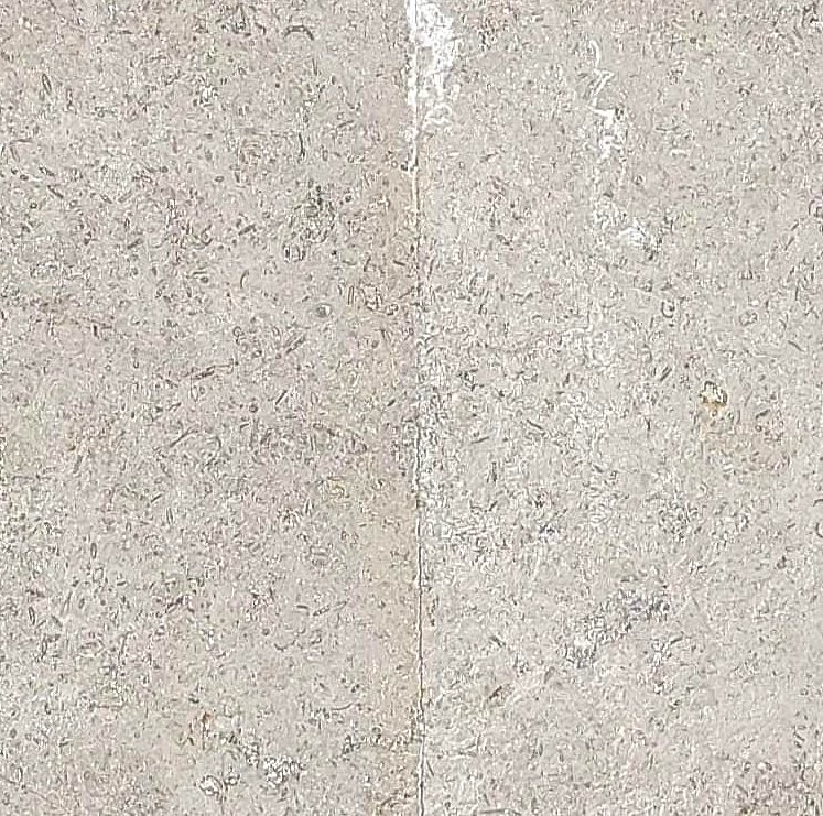 WhatsApp Image 2026-03-13 at 7.28.32 PM