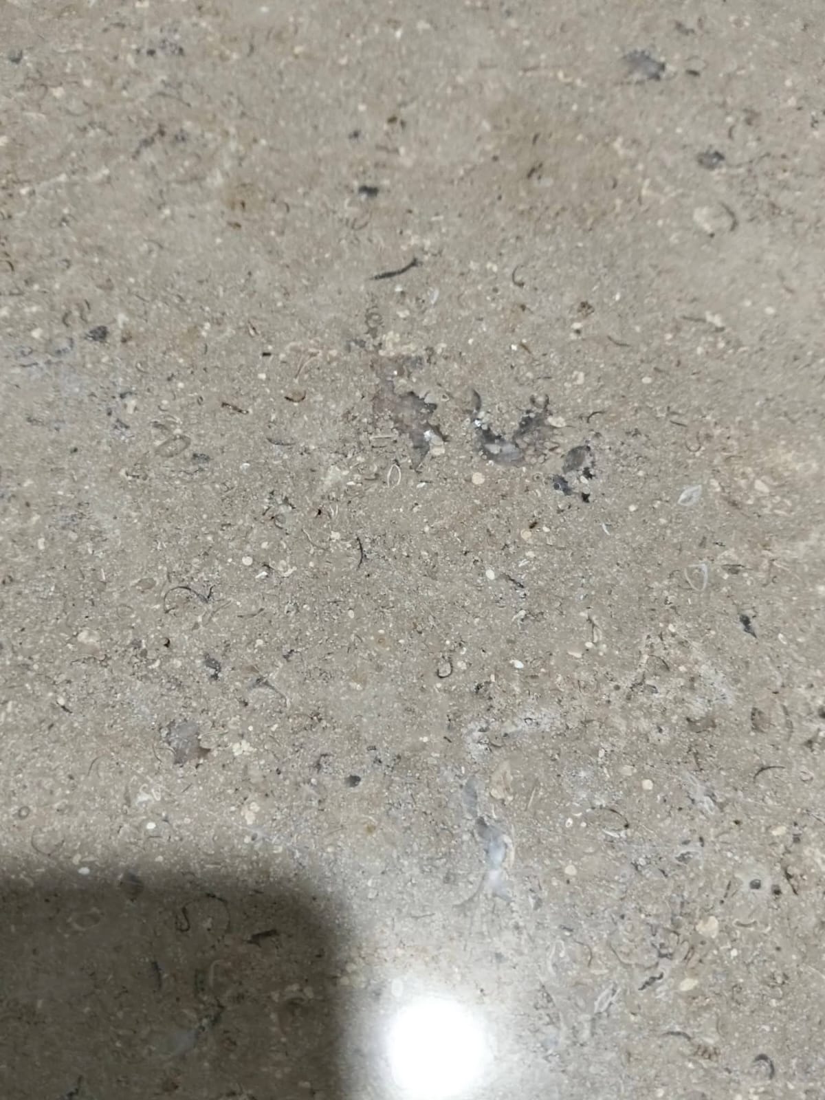 WhatsApp Image 2026-03-13 at 7.28.33 PM (2)