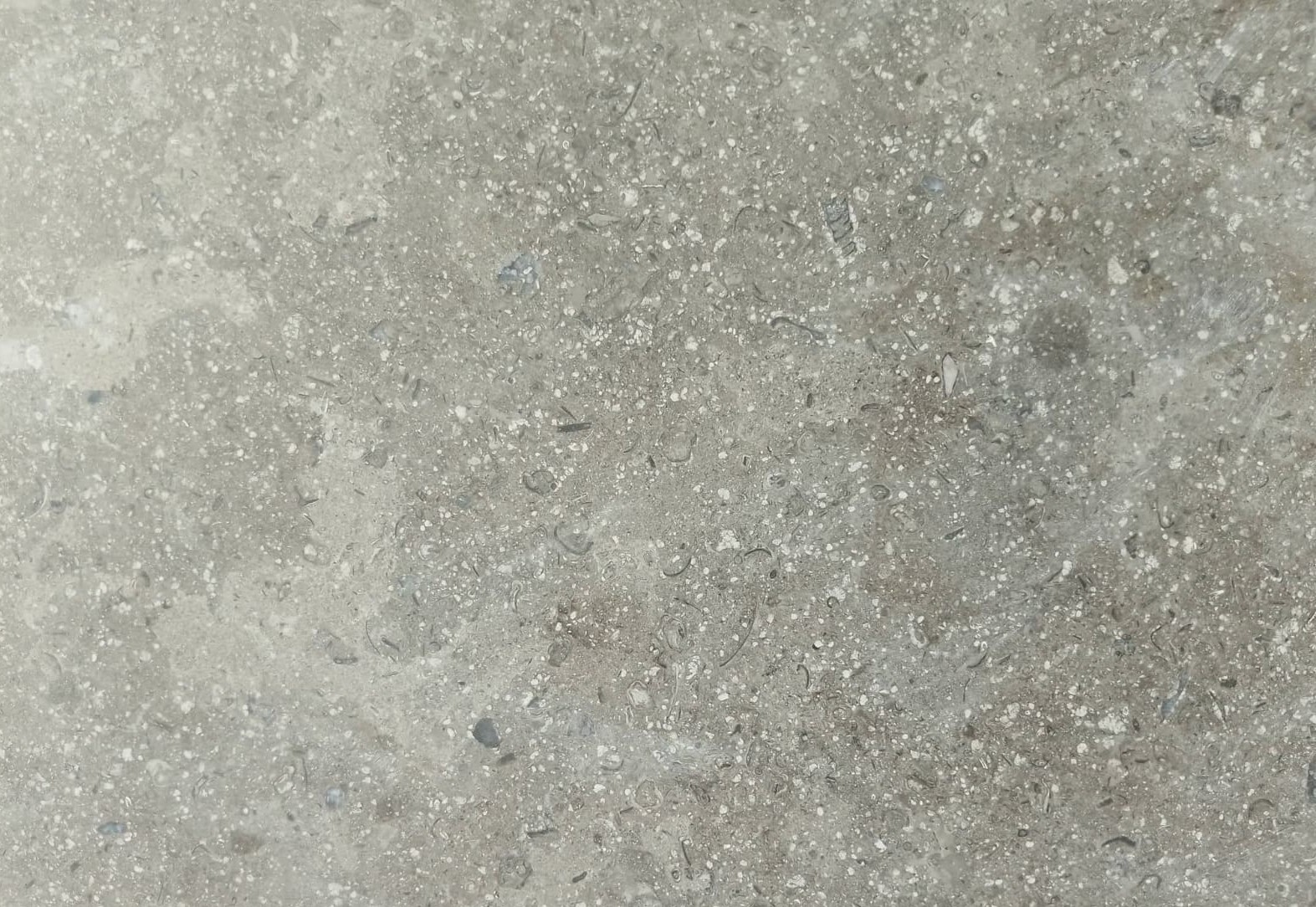 WhatsApp Image 2026-03-13 at 7.28.34 PM (1)