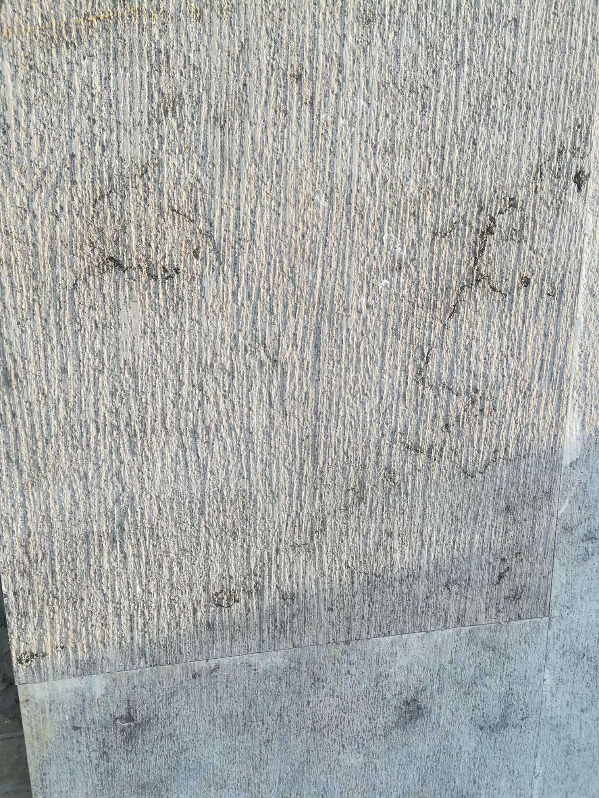 WhatsApp Image 2026-03-13 at 7.29.23 PM (1)