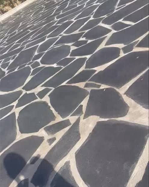 WhatsApp Image 2026-03-13 at 7.29.24 PM (1)