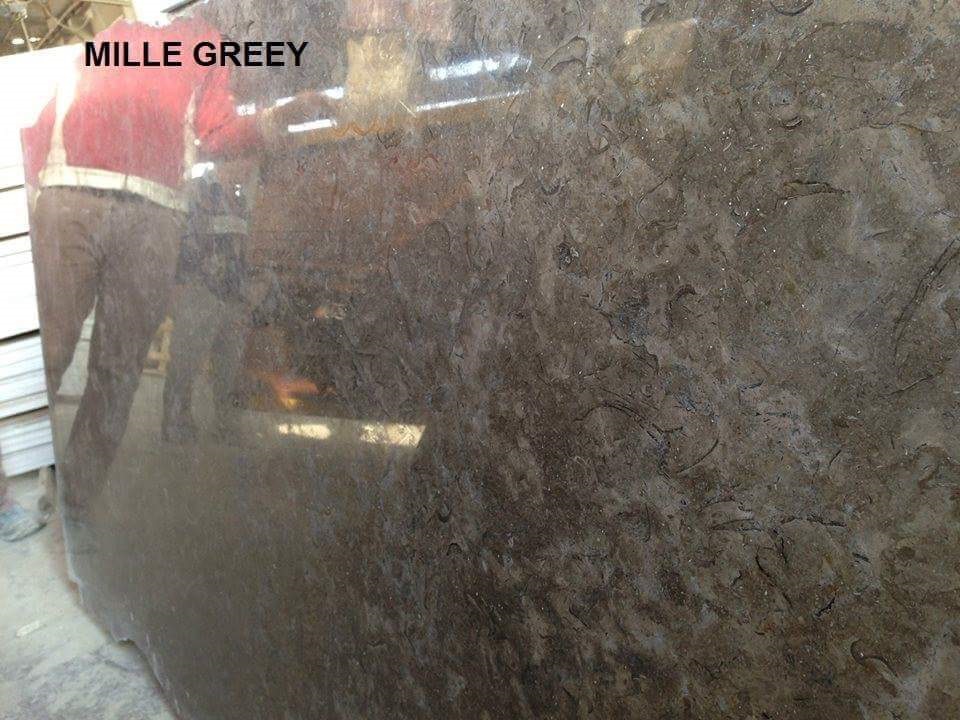 WhatsApp Image 2026-03-13 at 7.29.50 PM