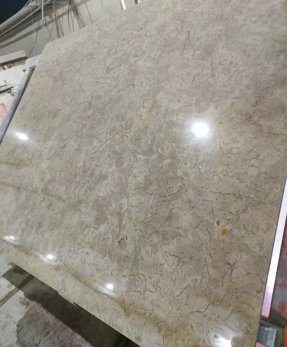 WhatsApp Image 2026-03-13 at 7.29.52 PM (1)