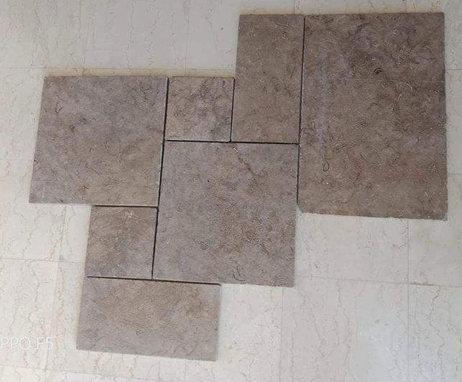 WhatsApp Image 2026-03-13 at 7.29.53 PM