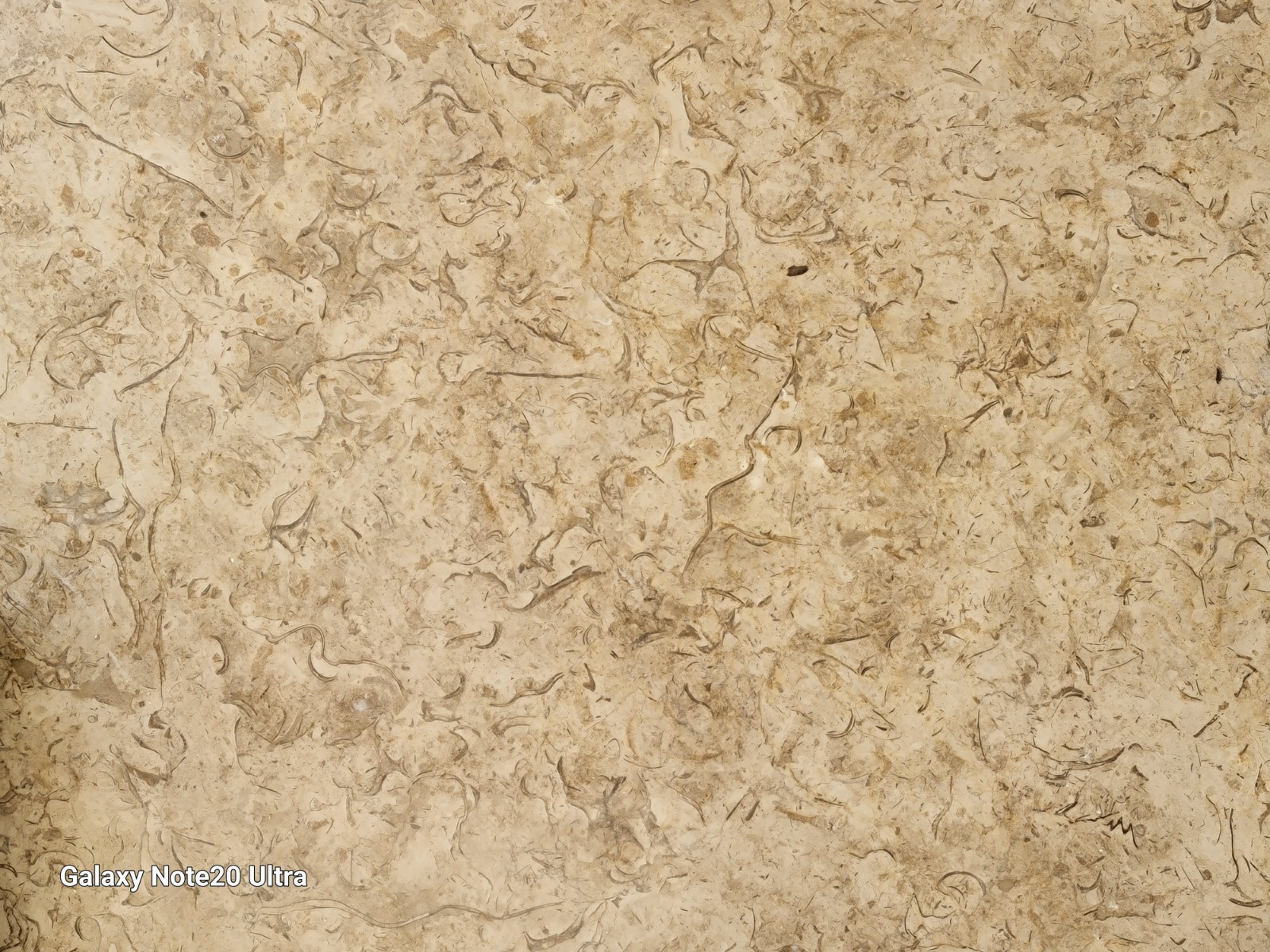 WhatsApp Image 2026-03-13 at 7.32.55 PM (1)