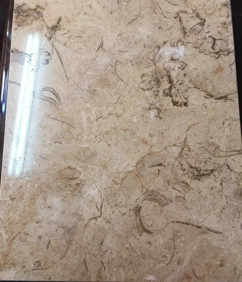 WhatsApp Image 2026-03-13 at 7.32.55 PM (2)