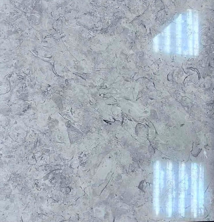 WhatsApp Image 2026-03-13 at 7.32.56 PM (1)