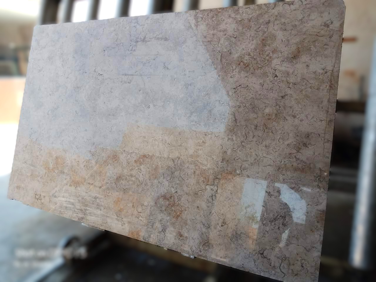 WhatsApp Image 2026-03-13 at 7.32.56 PM