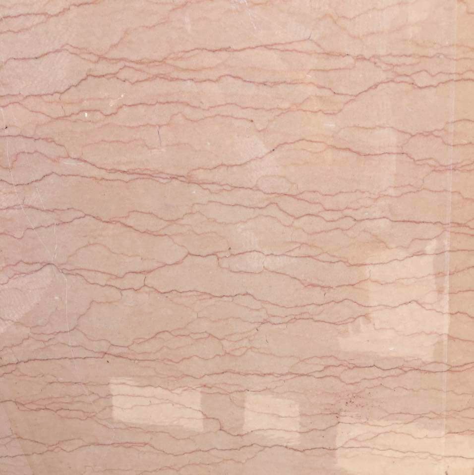 WhatsApp Image 2026-03-13 at 7.33.30 PM