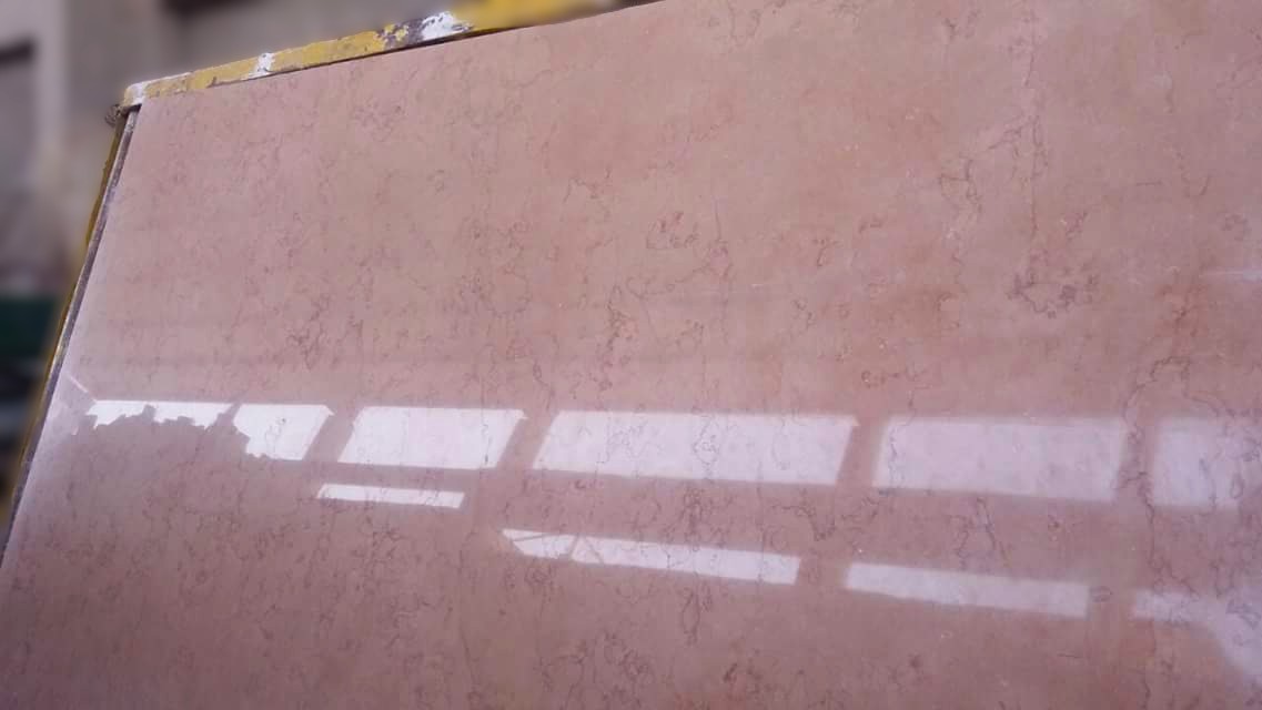 WhatsApp Image 2026-03-13 at 7.33.31 PM (1)