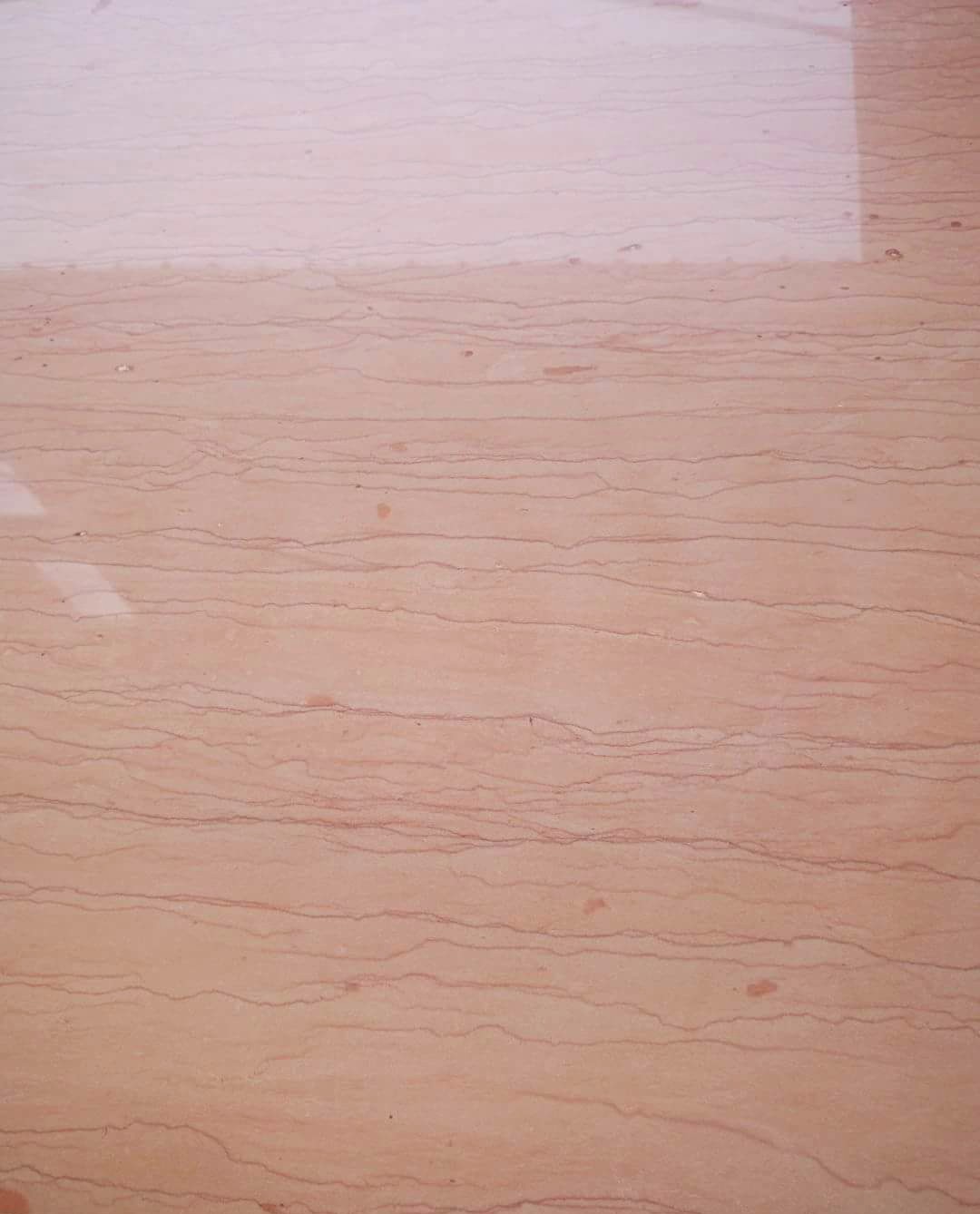 WhatsApp Image 2026-03-13 at 7.33.31 PM