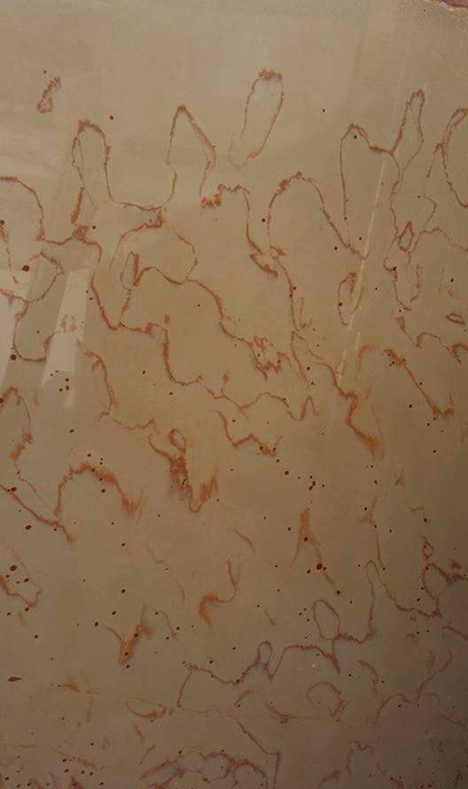 WhatsApp Image 2026-03-13 at 7.33.32 PM (1)