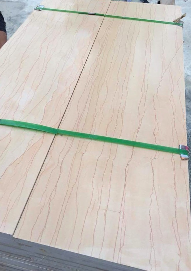 WhatsApp Image 2026-03-13 at 7.33.33 PM