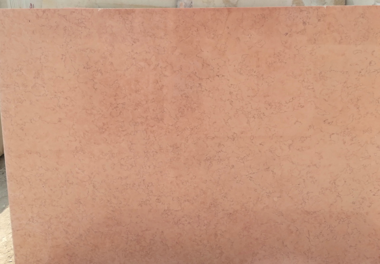 WhatsApp Image 2026-03-13 at 7.33.34 PM (1)