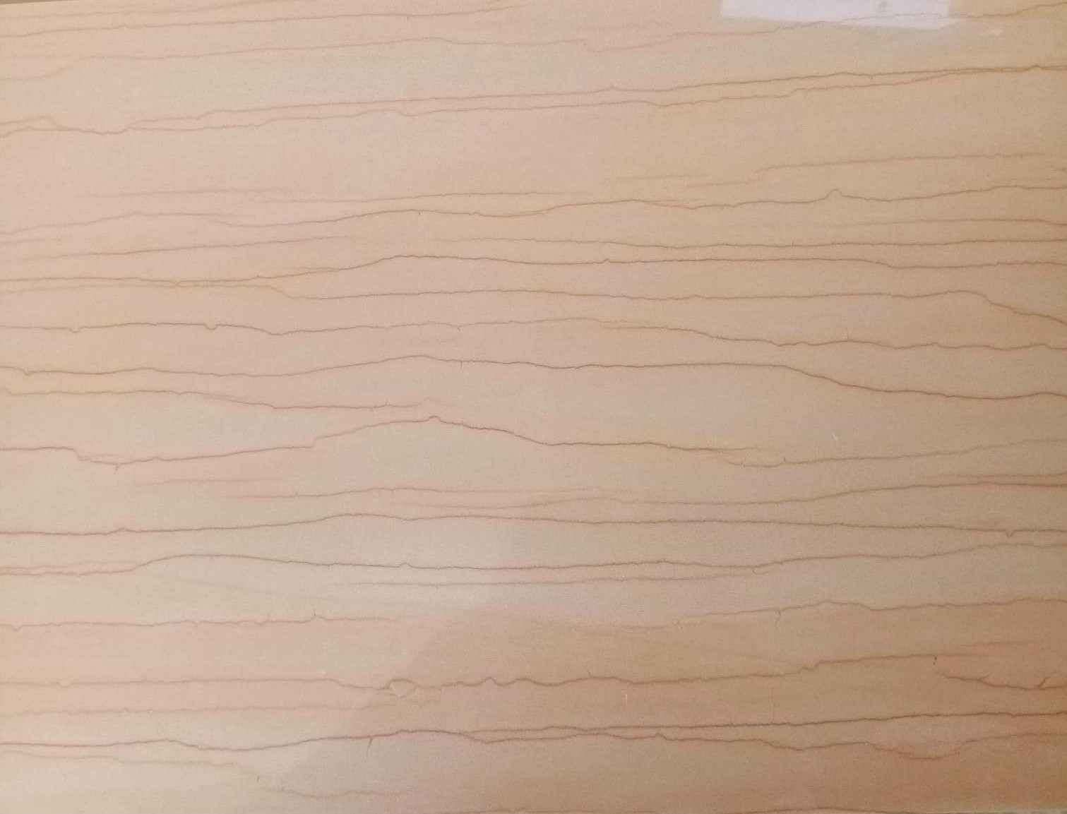 WhatsApp Image 2026-03-13 at 7.33.34 PM