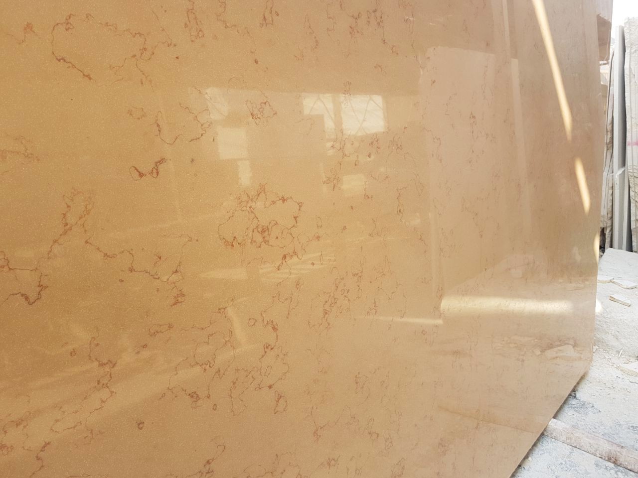 WhatsApp Image 2026-03-13 at 7.33.35 PM (1)