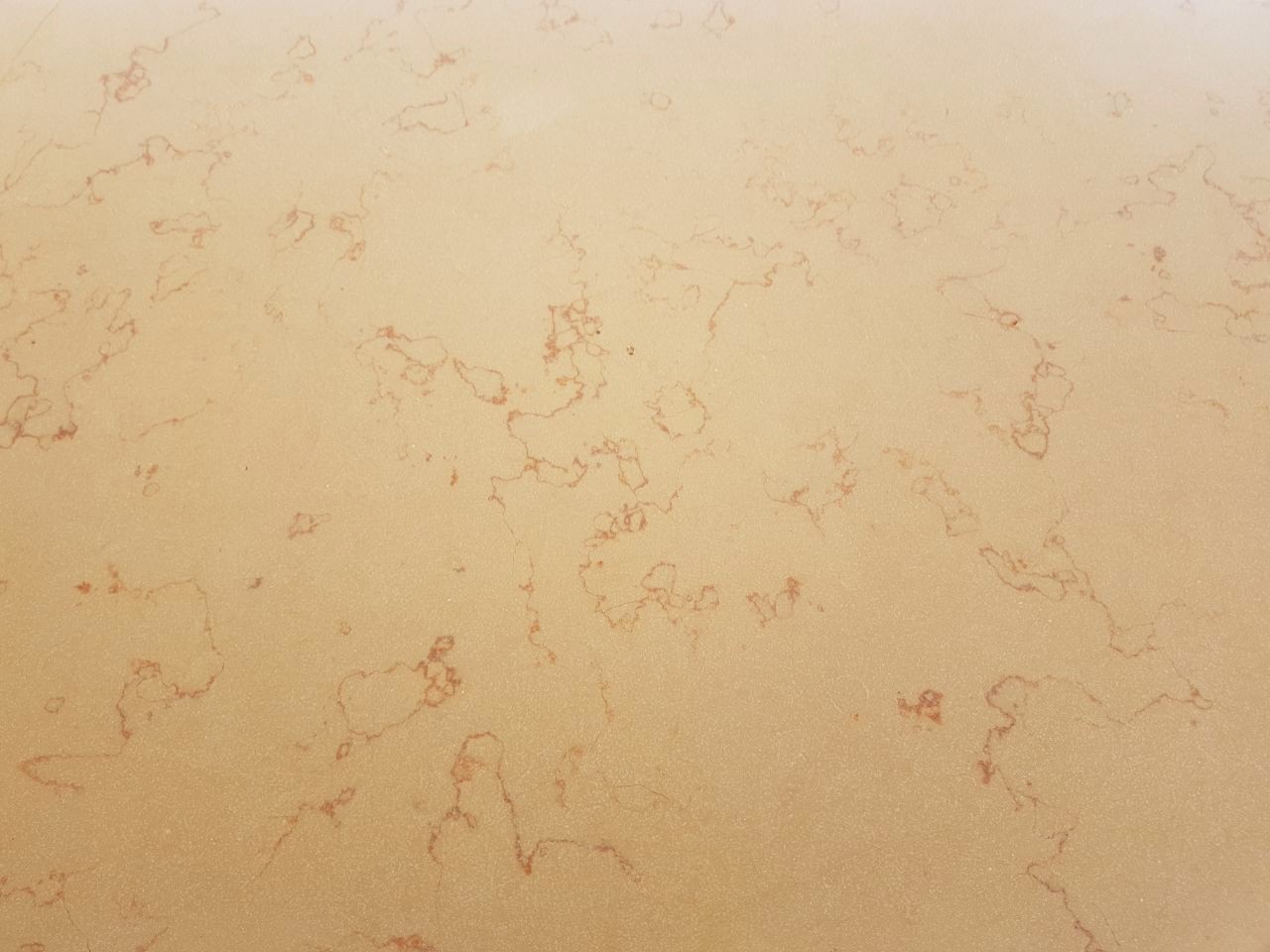 WhatsApp Image 2026-03-13 at 7.33.35 PM (2)