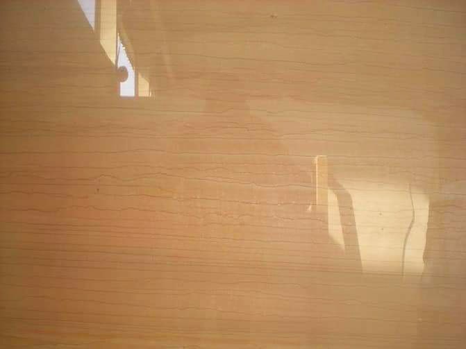 WhatsApp Image 2026-03-13 at 7.33.36 PM