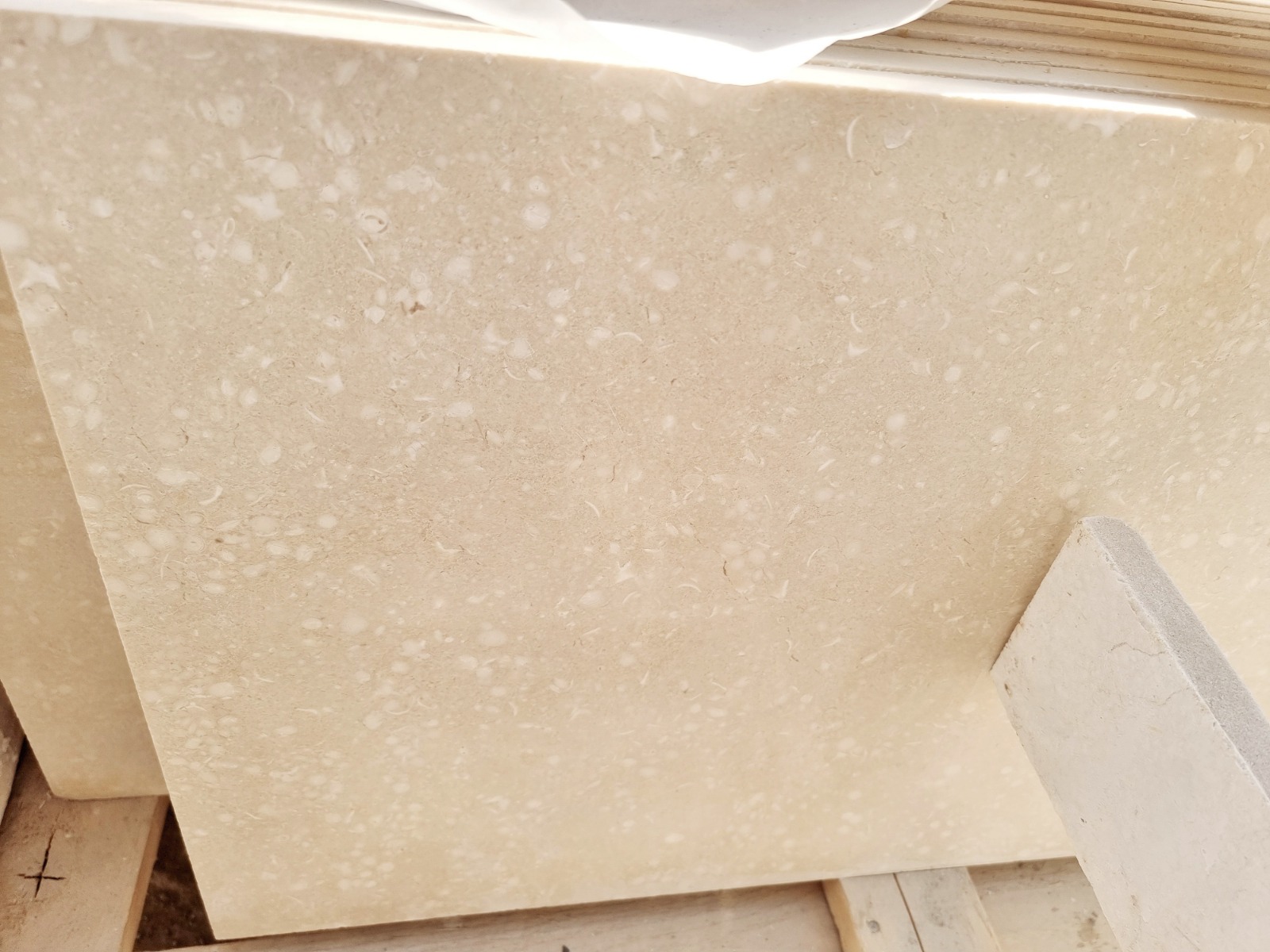 WhatsApp Image 2026-03-13 at 7.34.41 PM (2)