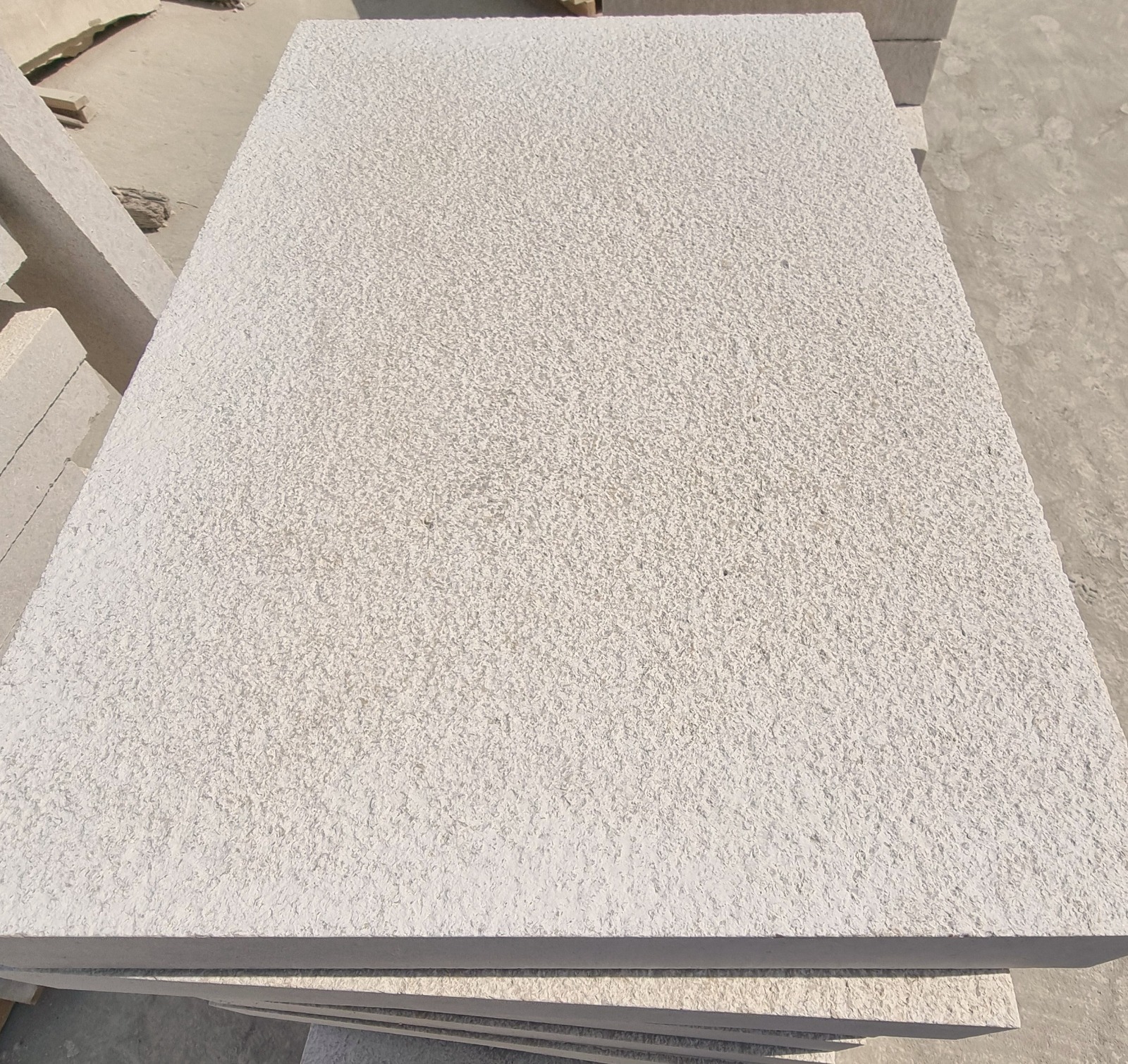 WhatsApp Image 2026-03-13 at 7.35.26 PM