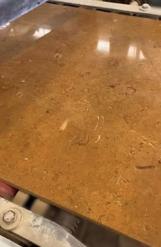 WhatsApp Image 2026-03-13 at 7.43.17 PM