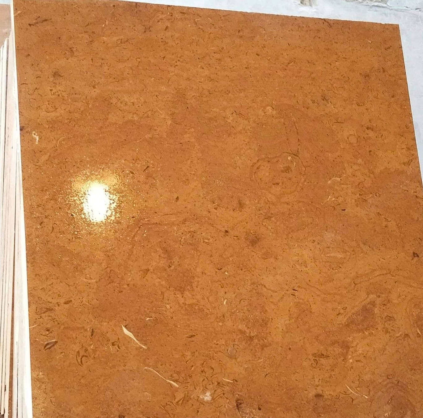 WhatsApp Image 2026-03-13 at 7.43.18 PM (1)