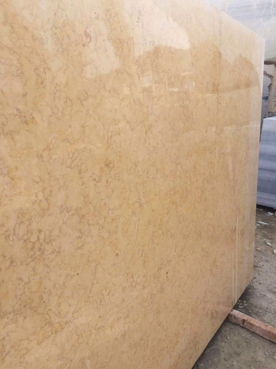 WhatsApp Image 2026-03-13 at 7.45.39 PM