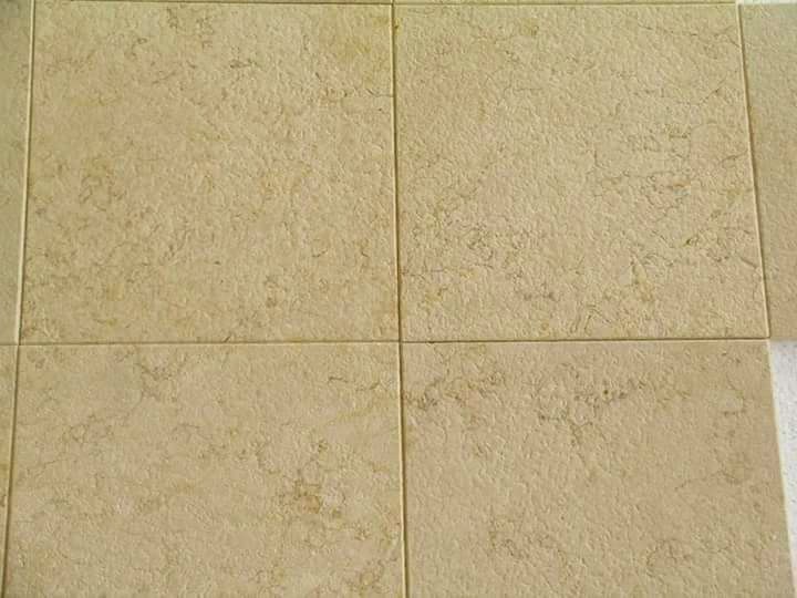 WhatsApp Image 2026-03-13 at 7.45.40 PM (1)